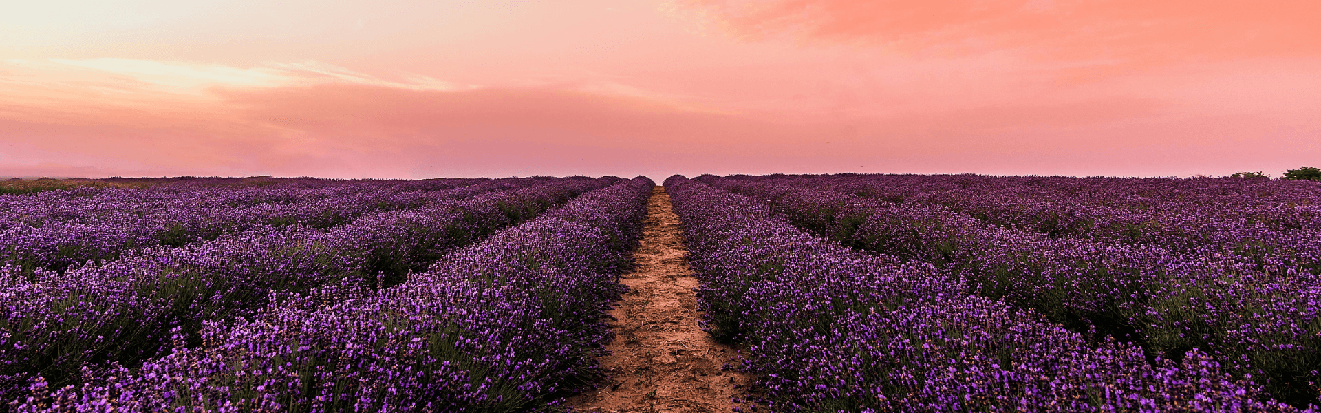 Blog banner image showing the main theme of the blog post