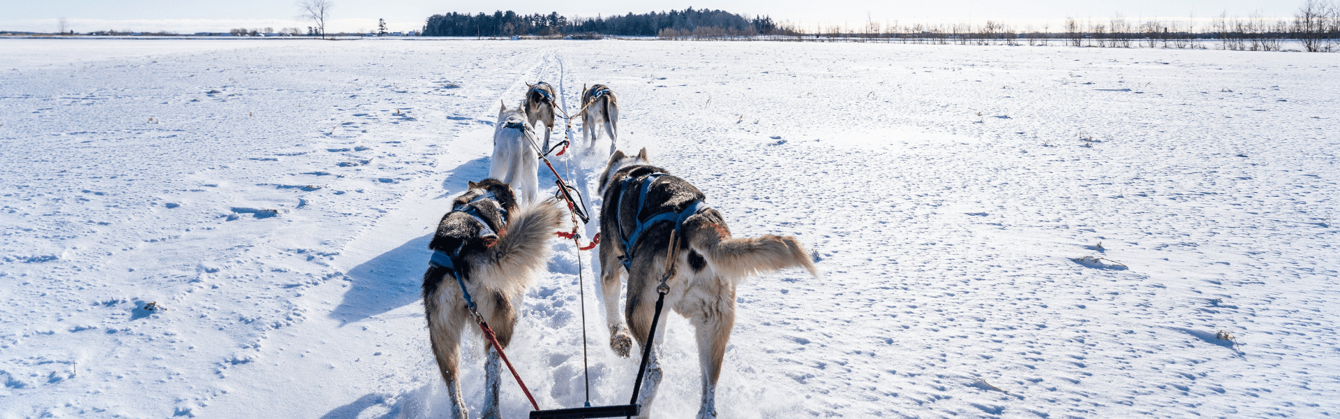 Blog banner image showing the main theme of the blog post