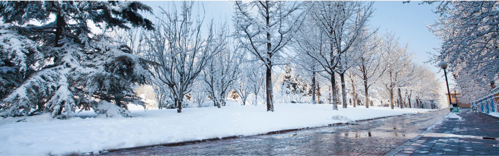 Blog banner image showing the main theme of the blog post