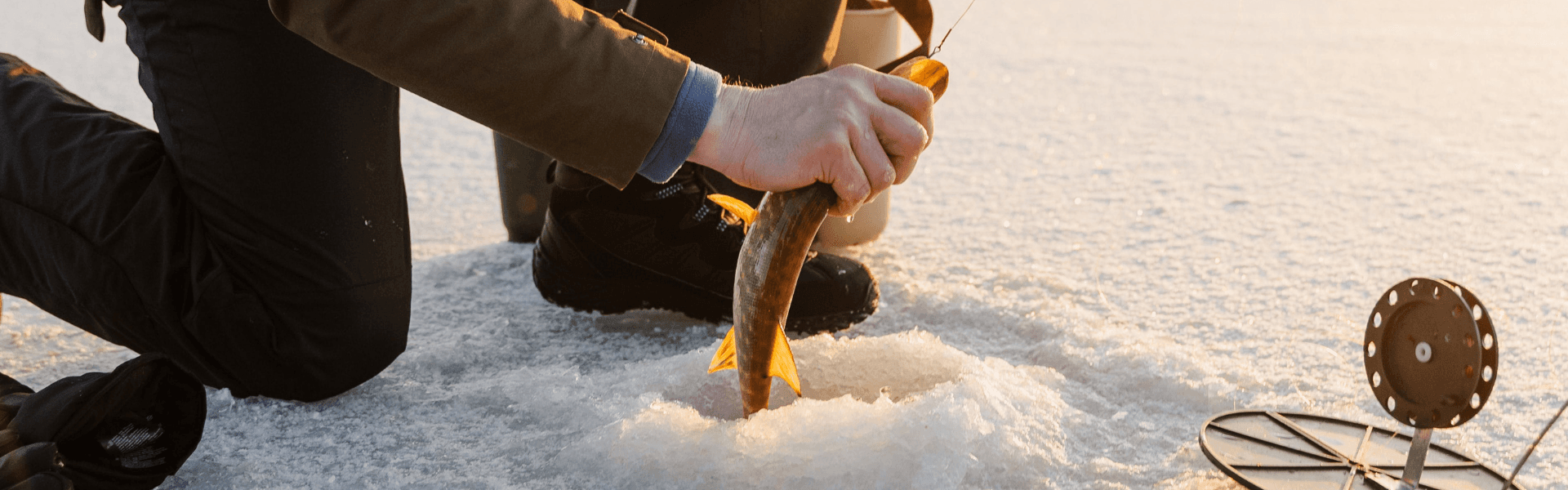 Blog banner image showing the main theme of the blog post