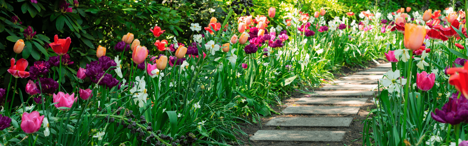 Blog banner image showing the main theme of the blog post